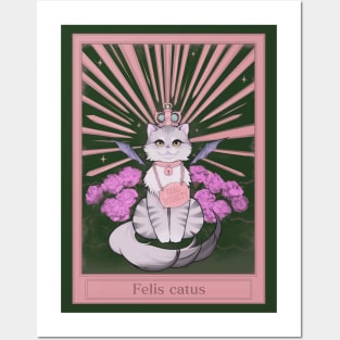 Felis Catus Cute Cat Poster Black & Pink Posters and Art